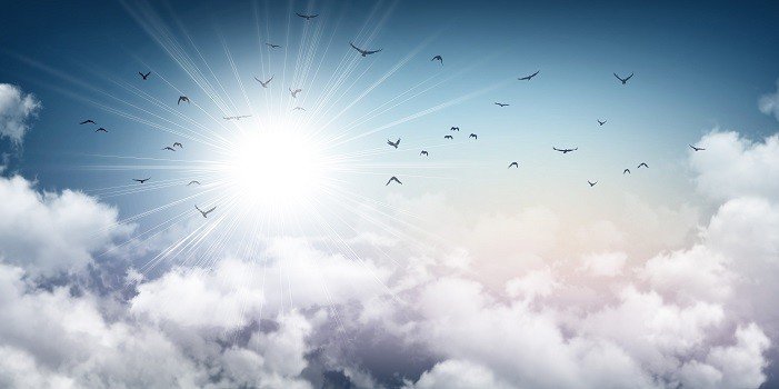Oiseaux volant face au soleil
